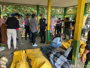 Pohon Tumbang Timpa Pondok di Situs Mattabulu Soppeng, 9 Orang Tewas