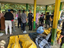 Pohon Tumbang Timpa Pondok di Situs Mattabulu Soppeng, 9 Orang Tewas