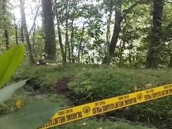 Warga Semarang Tewas di Tahura Mojokerto Diduga Sempat Diserang Tawon