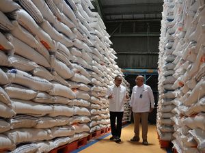 Perdana Kunjungi Gudang Bulog, Zulhas: Stok Beras Kita Sangat Aman & Cukup
