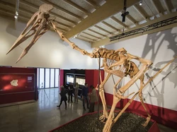 Dracula Jadi Hewan Purba Terbesar yang Bisa Terbang, Benarkah Begitu?