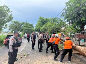 Sejumlah Pohon Tumbang Saat Sidoarjo Dilanda Hujan Disertai Angin Kencang