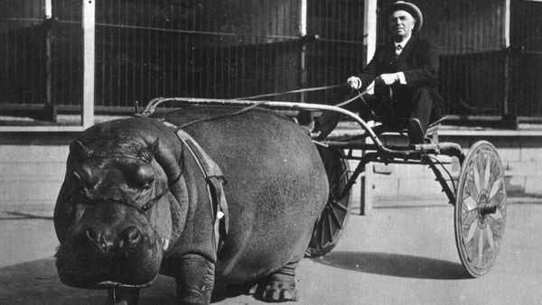 Foto Unik dari Masa Lalu Punya Cerita Tak Terduga