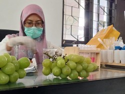 Pemkot Pasuruan Pastikan Anggur Muscat di Wilayahnya Aman Dikonsumsi