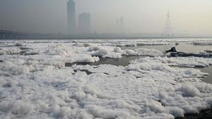 Potret Sungai Yamuna di India Penuh Busa Limbah Industri