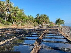 Video: Melihat Proses Pembuatan Garam Tradisional di Tianyar Bali