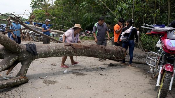Protes Pemerintah Bolivia, Pendukung Eks Presiden Morales Blokir Jalan