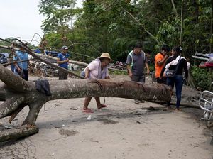 Protes Pemerintah Bolivia, Pendukung Eks Presiden Morales Blokir Jalan Protes Pemerintah Bolivia, Pendukung Eks Presiden Morales Blokir Jalan