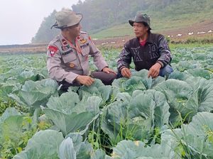 Misi Ipda Purwanto Wujudkan Swasembada Pangan Lewat Kampung Sayur Organik Misi Ipda Purwanto Wujudkan Swasembada Pangan Lewat Kampung Sayur Organik