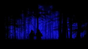 Warna-warni Instalasi Lampu di Hutan Belgia