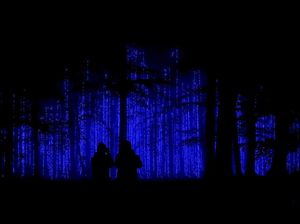 Warna-warni Instalasi Lampu di Hutan Belgia Warna-warni Instalasi Lampu di Hutan Belgia