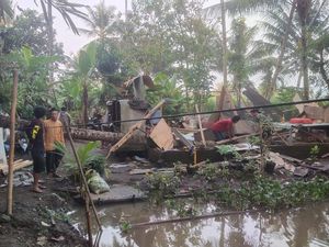 Rumah Ambruk Tertimpa Pohon Tumbang di Magelang, 1 Warga Luka