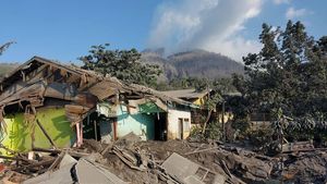 Dampak Erupsi Gunung Lewotobi Laki-Laki