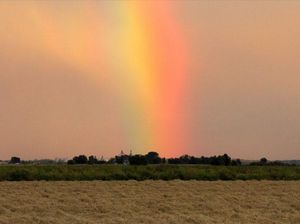 Virga, Fenomena Hujan yang Tak Pernah Menyentuh Tanah Virga, Fenomena Hujan yang Tak Pernah Menyentuh Tanah