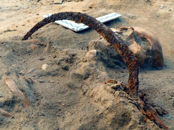 Kala Ilmuwan Coba Bangkitkan Vampir Berusia 400 Tahun dari Kematian