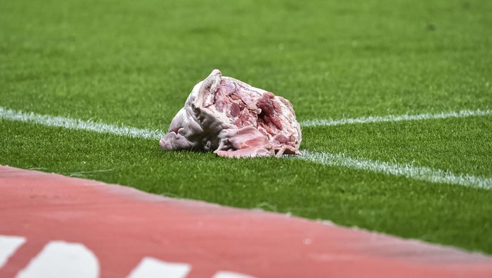 SAO PAULO, BRAZIL - NOVEMBER 4: The head of a Pork is seen on the pitch during Brasileirao 2024 match between Corinthians and Palmeiras at Neo Quimica Arena on November 4, 2024 in Sao Paulo, Brazil. (Photo by Roberto Casimiro/Eurasia Sport Images/Getty Images)