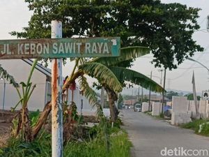 Cerita Ketua RT Saat Densus Tangkap Terduga Teroris di Demak Cerita Ketua RT Saat Densus Tangkap Terduga Teroris di Demak