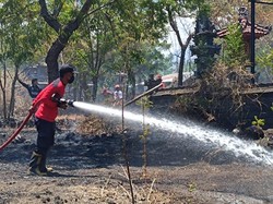 Hektaran Lahan Dekat Pura Dalem di Karangasem Hangus Terbakar