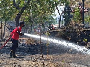 Hektaran Lahan Dekat Pura Dalem di Karangasem Hangus Terbakar Hektaran Lahan Dekat Pura Dalem di Karangasem Hangus Terbakar