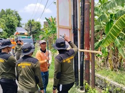 Bawaslu Bantul Tertibkan 2.226 APK, Rata-rata Dipasang di Pohon-Tiang Listrik