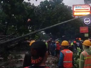 Pohon Tumbang di Sukabumi, Akses Jalan Tertutup-Timpa Tiang Listrik