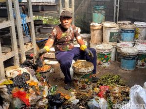 Video: Mengolah Sampah Organik dengan Maggot Demi Mengurangi Beban TPA Video: Mengolah Sampah Organik dengan Maggot Demi Mengurangi Beban TPA