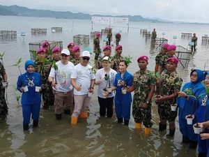 Springhill Bandar Lampung & Golden Tulip Springhill Tanam Mangrove