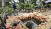 Tambang Minyak Ilegal Menjamur di Kawasan Konsesi Hutan Harapan