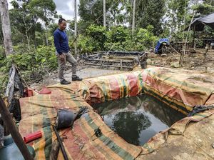 Tambang Minyak Ilegal Menjamur di Kawasan Konsesi Hutan Harapan Tambang Minyak Ilegal Menjamur di Kawasan Konsesi Hutan Harapan