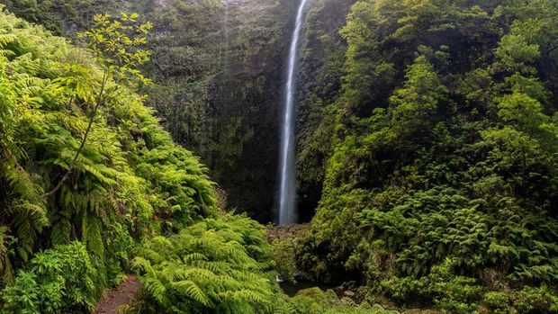 Air terjun di Levada of Caldeirao Verde, Madeira, Portugal