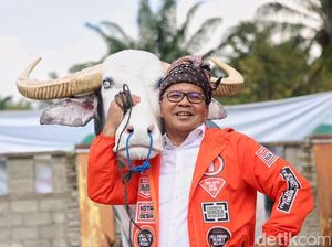 Danny Bakal Jajal Jalur Seko Lutra Hari Ini: Lambang Kerusakan Infrastruktur