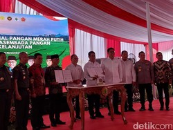Mentan Minta Manajer Pupuk Dicopot Imbas Penyaluran Bermasalah