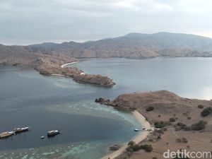 Untung Buntung Tarif Masuk Taman Nasional Naik Saat Tiket Pesawat Tak Juga Turun Untung Buntung Tarif Masuk Taman Nasional Naik Saat Tiket Pesawat Tak Juga Turun
