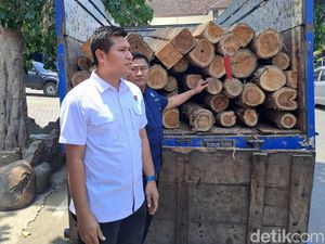 Gerebek Pembalakan Liar di Jombang, Polisi Sita 70 Gelondong Kayu Jati Gerebek Pembalakan Liar di Jombang, Polisi Sita 70 Gelondong Kayu Jati