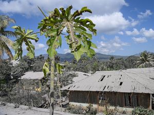 Korban Erupsi Gunung Lewotobi Dapat Bantuan Rp 3 Juta Sembari Tunggu Direlokasi Korban Erupsi Gunung Lewotobi Dapat Bantuan Rp 3 Juta Sembari Tunggu Direlokasi