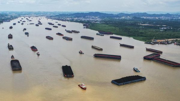 Potret Lalu Lintas Tongkang Batu Bara di Sungai Mahakam Samarinda