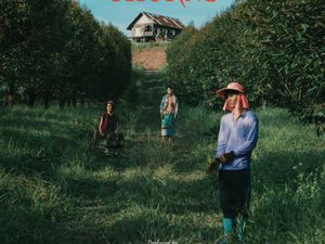 The Paradise of Thorns: Salah Satu Yang Paling Seru Tahun Ini