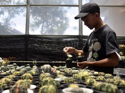 Syarat dan Cara Daftar Program Petani Milenial dari Kementan