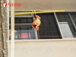 Wanita Ini Kesal, Tetangganya Jemur Ayam dan Bumbunya Menetes ke Pakaiannya