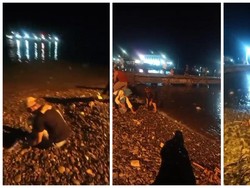 Heboh Fenomena Ikan Loncat ke Pantai di Lampung