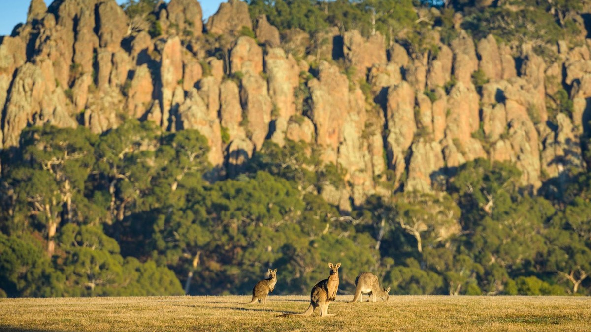 Wisata alam di dekat Melbourne