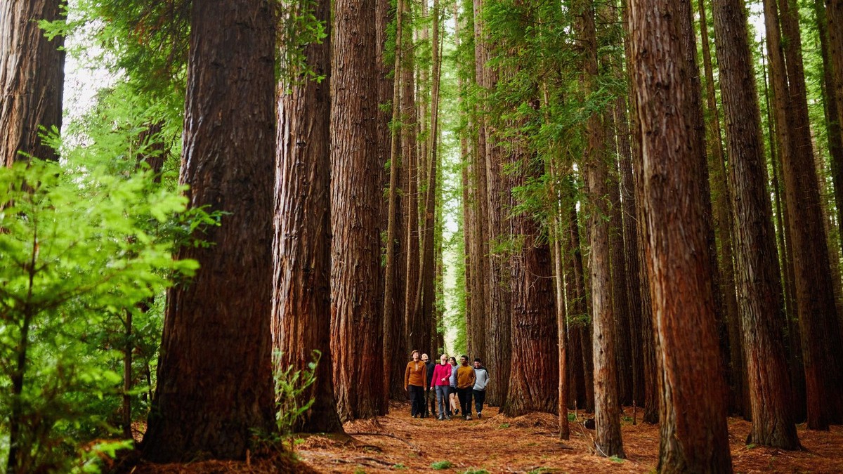 Wisata alam di dekat Melbourne