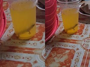 Diteguk Setengah Gelas, Pria Ini Baru Sadar Ada Cicak dalam Es Jeruknya