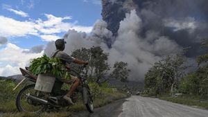 Erupsi Gunung Lewatobi Laki-laki Meningkat, Warga Panik