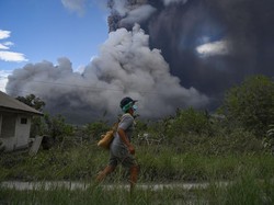Warga di 18 Desa Sekitar Gunung Lewotobi Laki-laki Akan Direlokasi