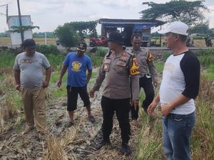 Lahan Pertanian 2 Desa di Sidoarjo Dipakai Dukung Program Ketahanan Pangan
