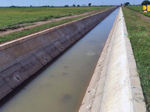 Proyek Irigasi di 4 Wilayah Ini Digeber, Ribuan Hektare Lahan Bakal Teraliri Proyek Irigasi di 4 Wilayah Ini Digeber, Ribuan Hektare Lahan Bakal Teraliri