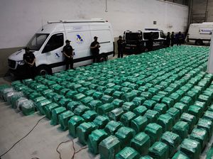 Penampakan 13 Ton Kokain yang Disita Polisi Spanyol dari Kargo Pisang Penampakan 13 Ton Kokain yang Disita Polisi Spanyol dari Kargo Pisang