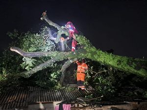 Pohon Tumbang Timpa 3 Kontrakan Imbas Hujan dan Angin Kencang di Bogor