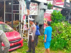 Pohon Tumbang Akibat Hujan-Angin Kencang Timpa 2 Mobil di Manggala Makassar